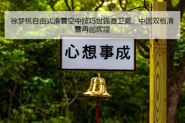 xu-meng-tao-zi-you-shi-hua-xue-kong-zhong-ji-qiao-shi-jin-sai-wei-mian-zhong-guo-shuang-ban-hua-xue-zai-chuang-hui-huang-2-622.jpg